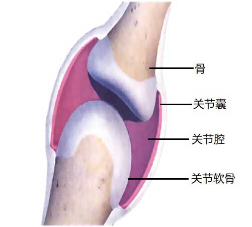 图片16.jpg